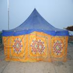 Vraj-Yatra-2014- (1823)